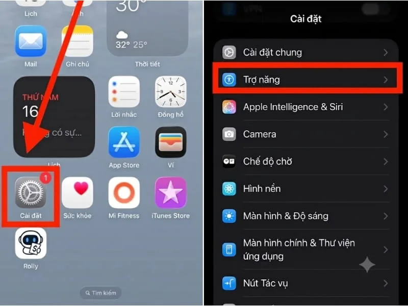 Chọn mục Trợ năng